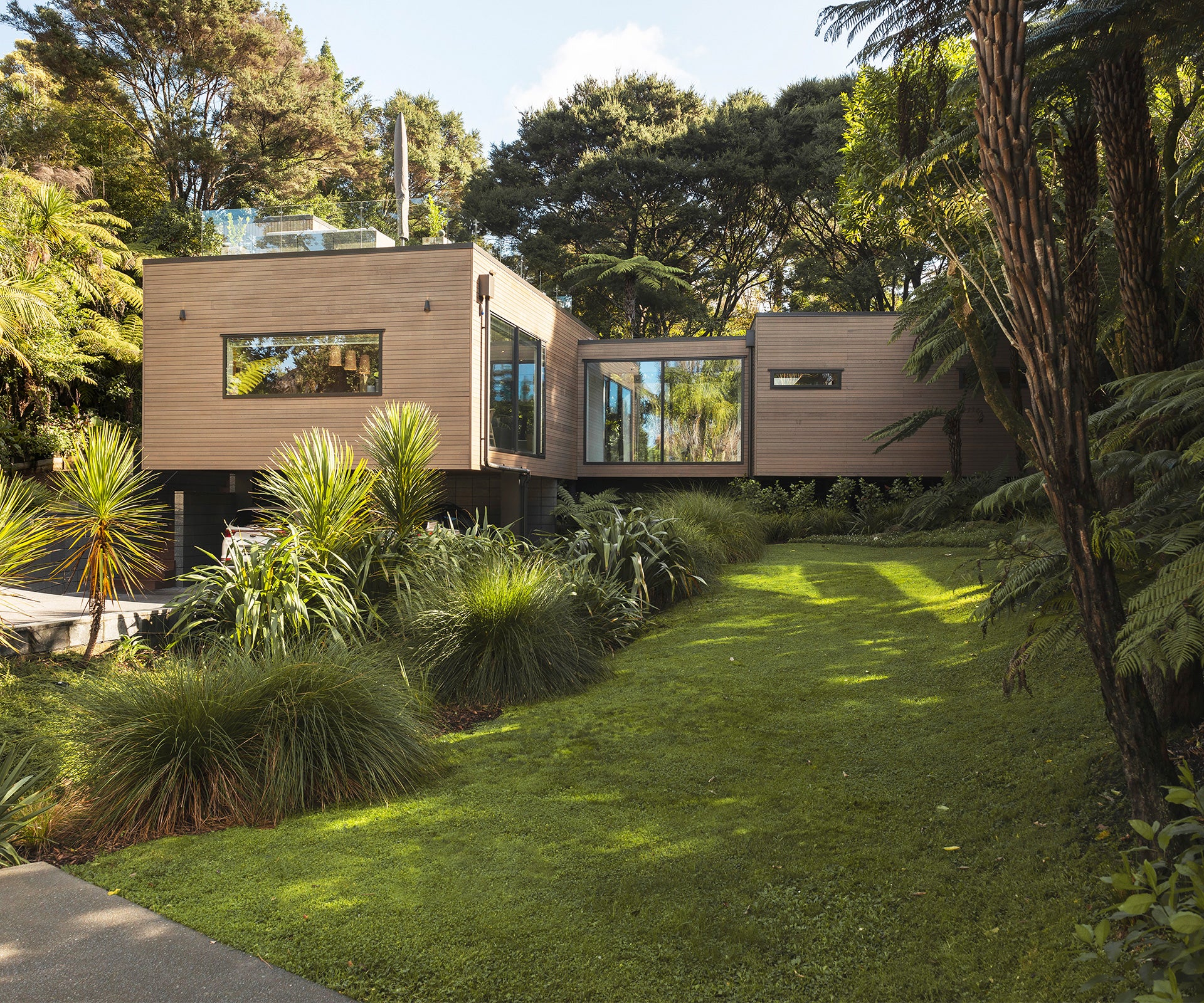 Breathing in the Bush | Castor Bay, Auckland